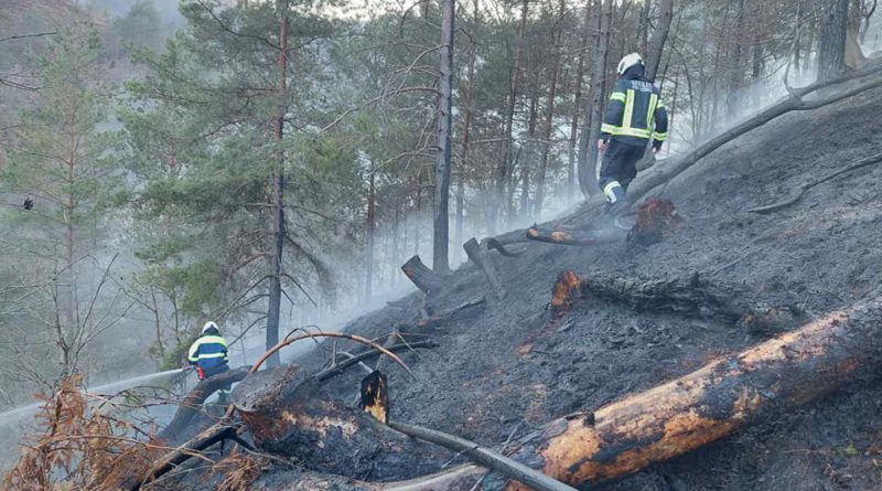 Požar gozda pri Podgradu 25.3.2022 in 27.3.2022